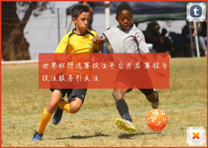 世界杯预选赛投注平台开启 赛程与投注服务引关注