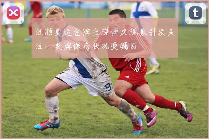 汪顺奥运金牌出现掉皮现象引发关注，奖牌保存状况受瞩目
