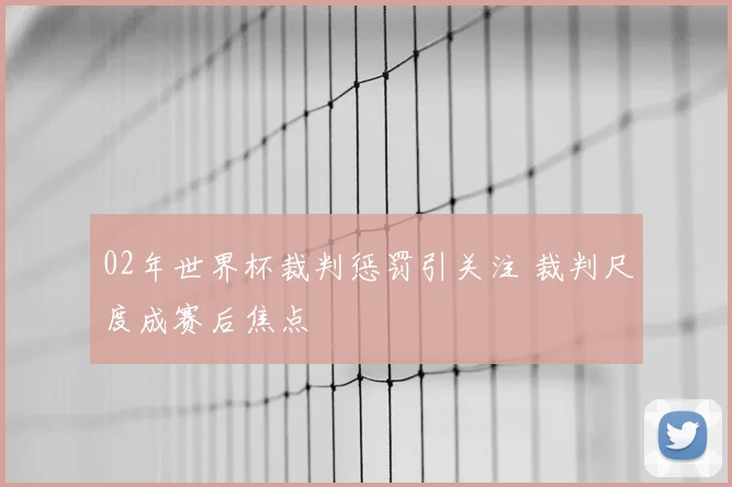 02年世界杯裁判惩罚引关注 裁判尺度成赛后焦点