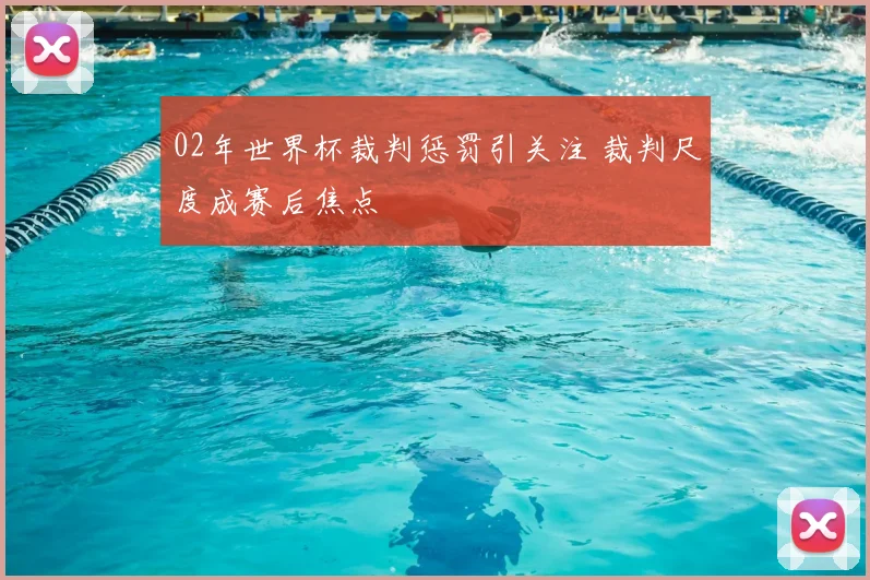 02年世界杯裁判惩罚引关注 裁判尺度成赛后焦点