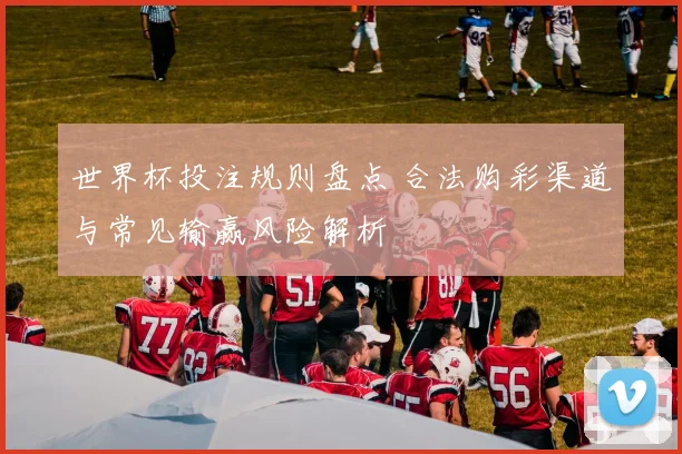 世界杯投注规则盘点 合法购彩渠道与常见输赢风险解析