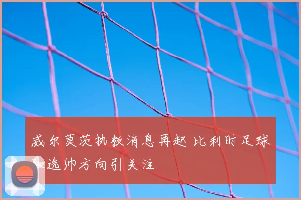 威尔莫茨执教消息再起 比利时足球队选帅方向引关注